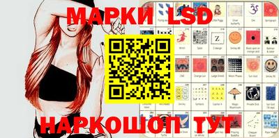 дурь Сланцы