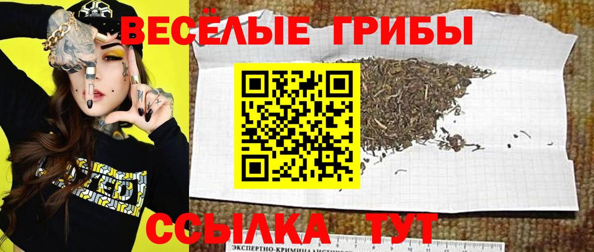 Галлюциногенные грибы Psilocybine cubensis  наркота  Сатка  Вход с VPN 